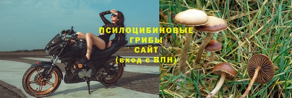 меф Алексин