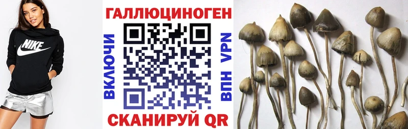 Псилоцибиновые грибы GOLDEN TEACHER  Чаплыгин 